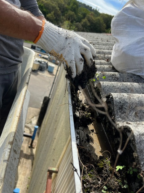 雨樋を清掃する人